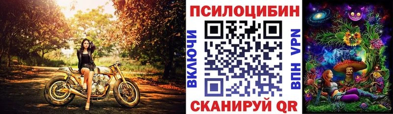 Псилоцибиновые грибы Psilocybine cubensis Сургут